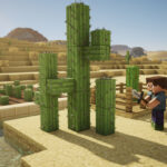 découvrez tout ce qu'il faut savoir sur le cactus dans minecraft : conseils pratiques, astuces pour le cultiver et l'utiliser efficacement dans le jeu.