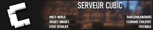 Bannière du serveur Minecraft Cubic