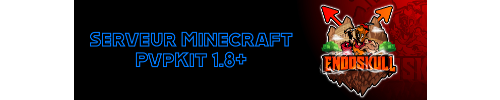 Bannière du serveur Minecraft EndoSkull
