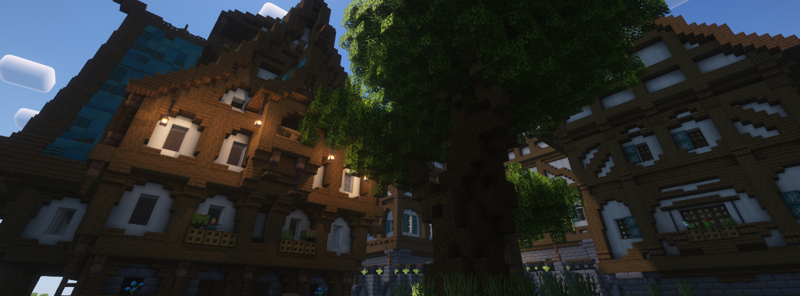 Bannière du serveur Minecraft isodrus