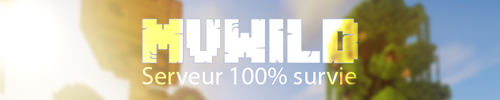 Bannière du serveur Minecraft MvWild