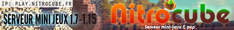 Bannière du serveur Minecraft Nitrocube